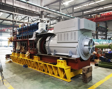 貴州省盤州紅達(dá)瓦斯電站項目配4臺德科6極高壓1550KW/10.5KV
