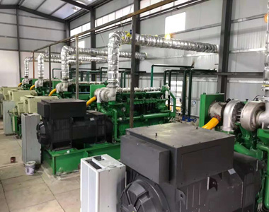 云南某發(fā)電項目配德科800kw/10.5kv 高壓發(fā)電機(jī)