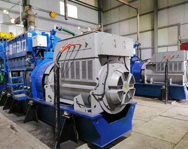 豐都甘泰沼氣發(fā)電項目配德科2臺850KW/10.5KV6極高壓發(fā)電機(jī)