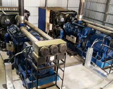新疆燃?xì)獍l(fā)電項目（2臺1000KW10.5KV6極高壓發(fā)電機(jī))