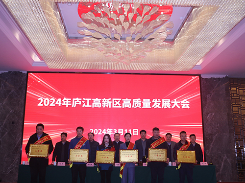 【喜報(bào)】德科電氣榮獲2023年廬江高新區(qū)企業(yè)高質(zhì)量發(fā)展一等獎(jiǎng)!