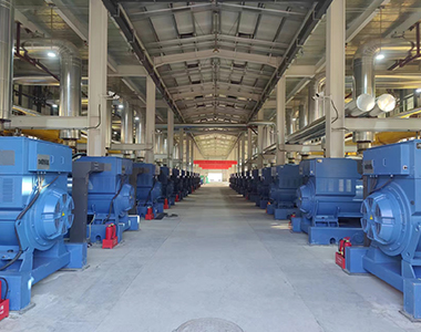 山西24WM瓦斯發(fā)電站項目（24臺1000KW/10.5KV高壓發(fā)電機(jī)）